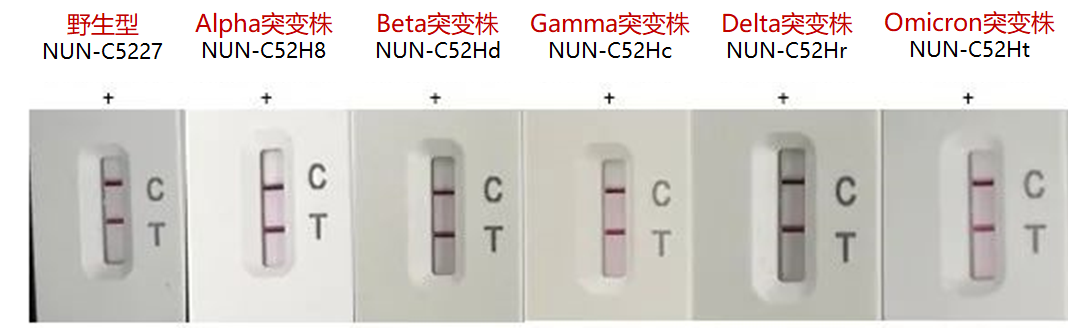 突变株检出率