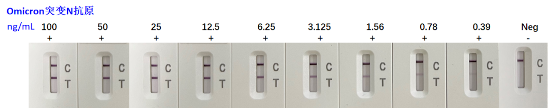 Omicron突变N抗原