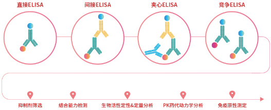 生物药早期研发阶段