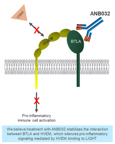 ANB032作用原理（数据来源于AnaptysBio官网）