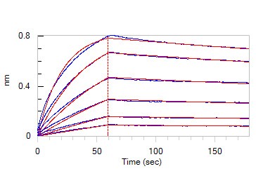 受体配体亲和力经BLI验证