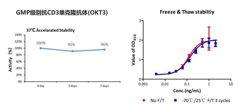 GMP级别OKT3稳定性