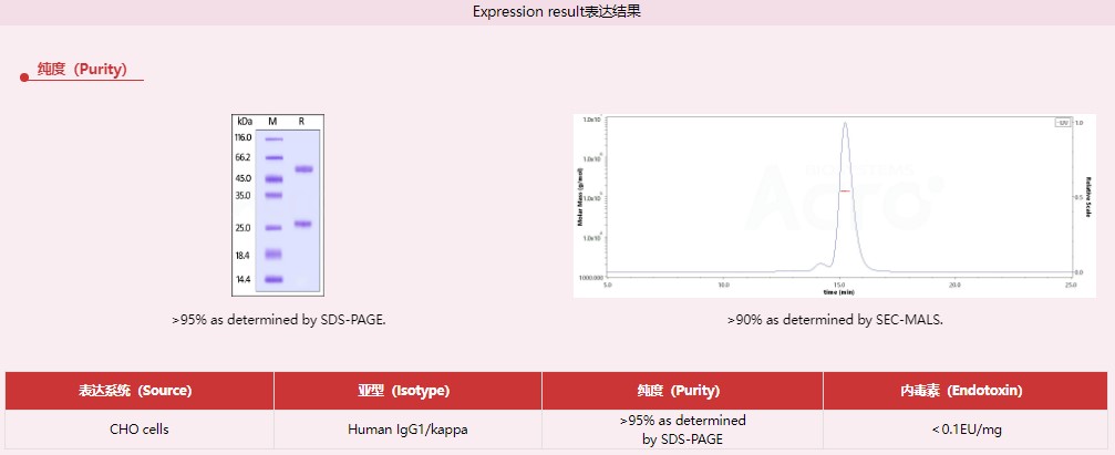 克级重组抗体CHO细胞表达