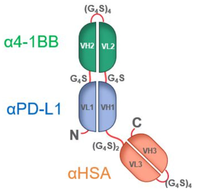 CS2006/NM21-1480的分子结构