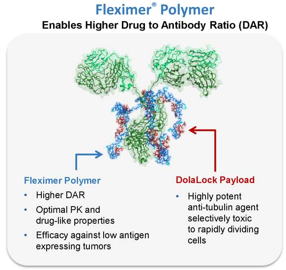 Fleximer\' Polymer可以显著增加DAR值