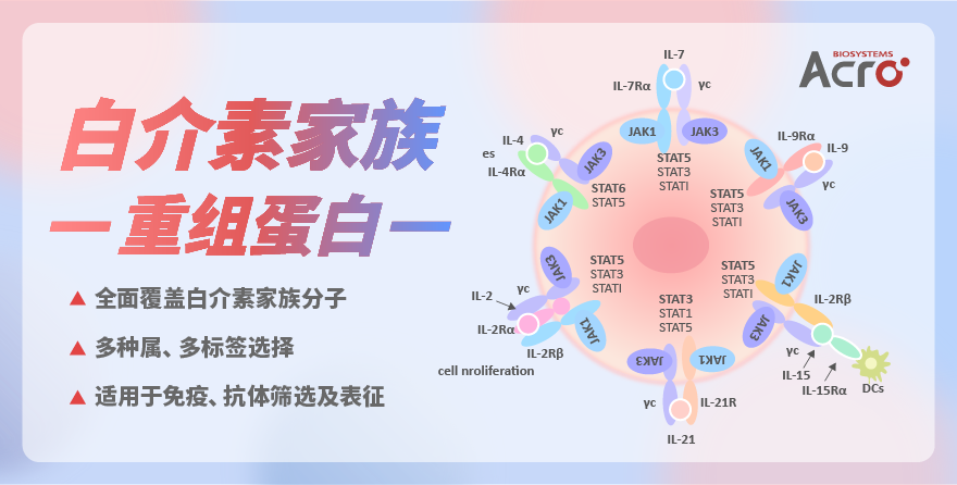 白介素家族重组蛋白