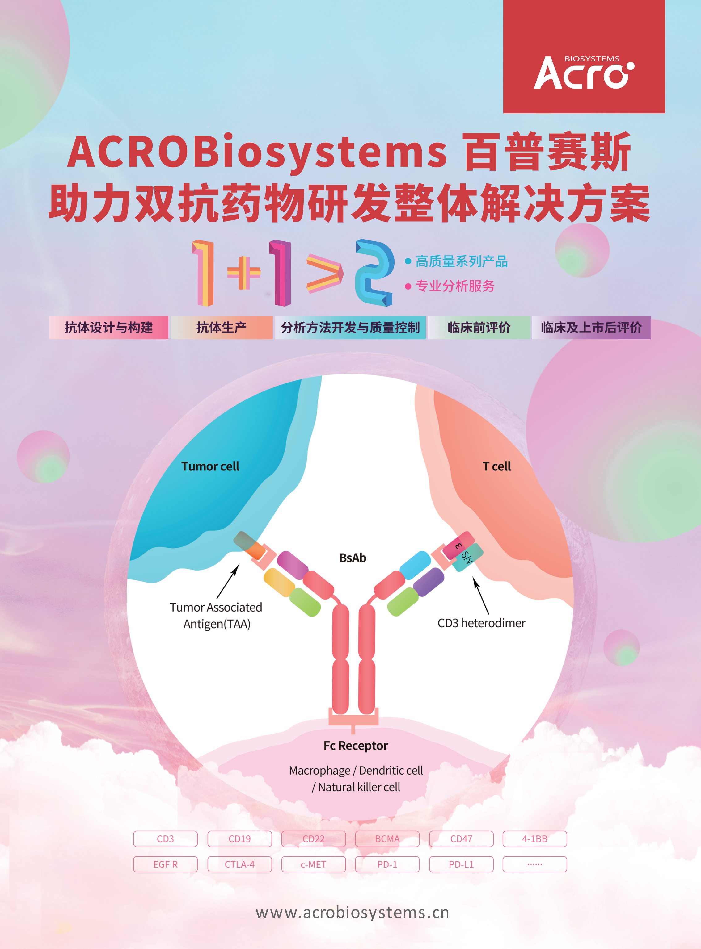 助力双抗药物研发全流程解决方案