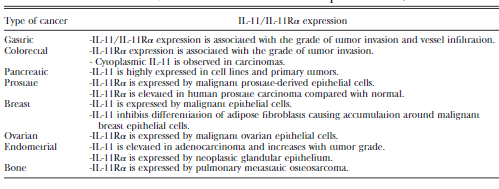 人类癌症中IL-11/IL-11R α表达情况