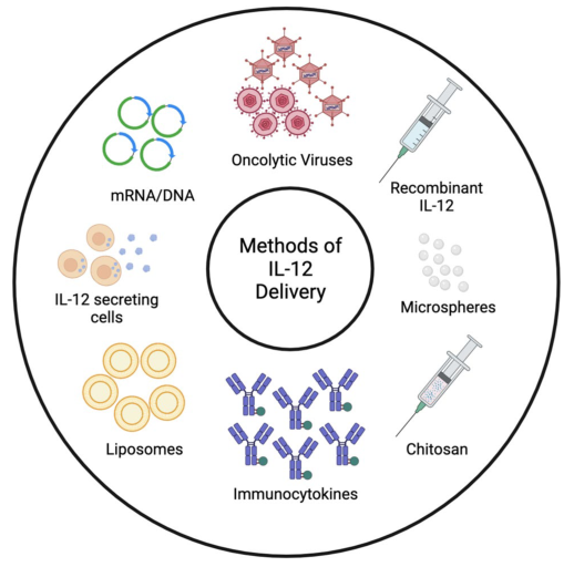 IL-12的递送方法