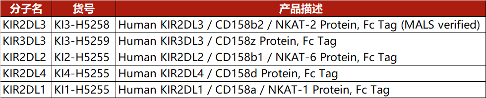 KIR家族蛋白产品