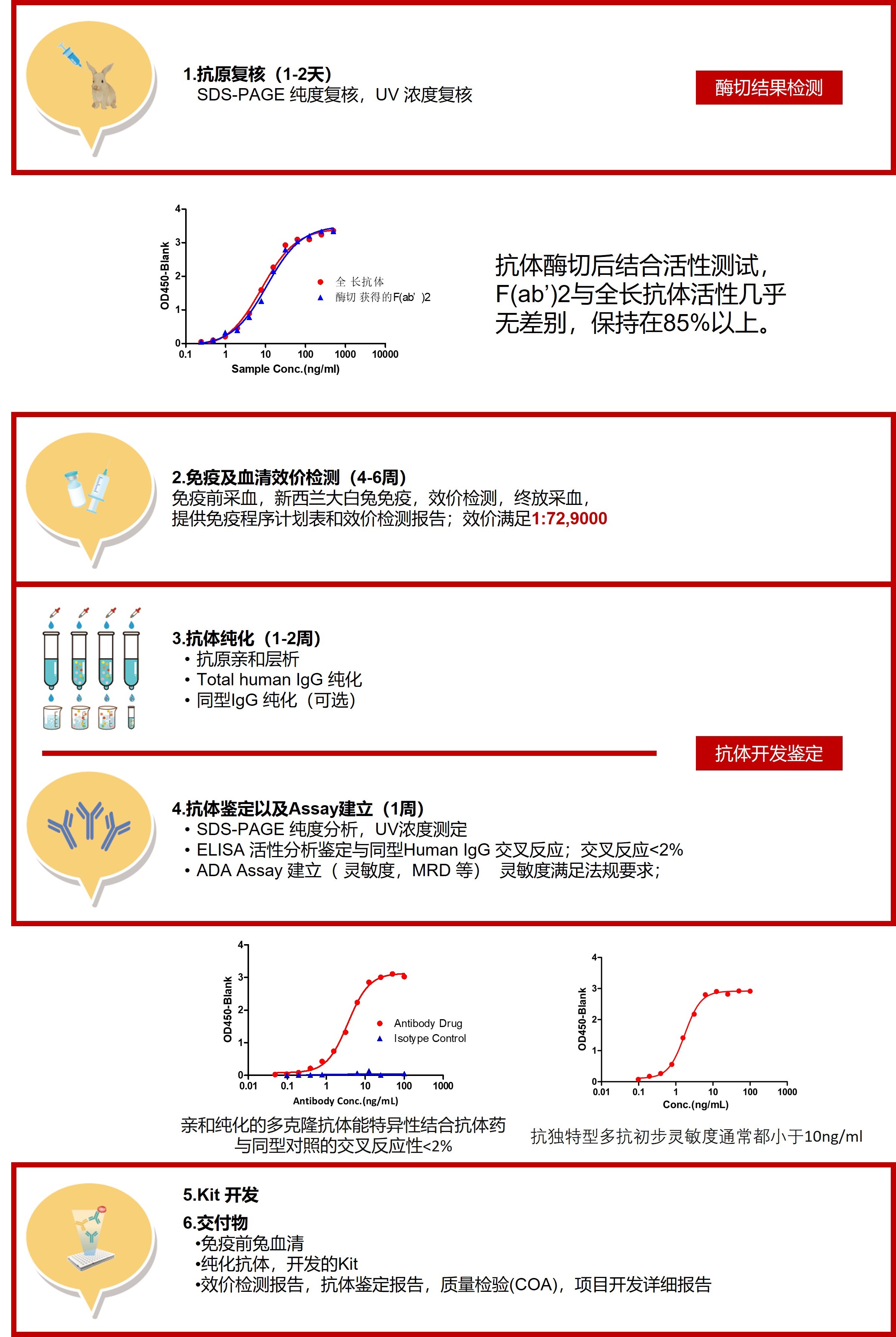 抗体开发流程