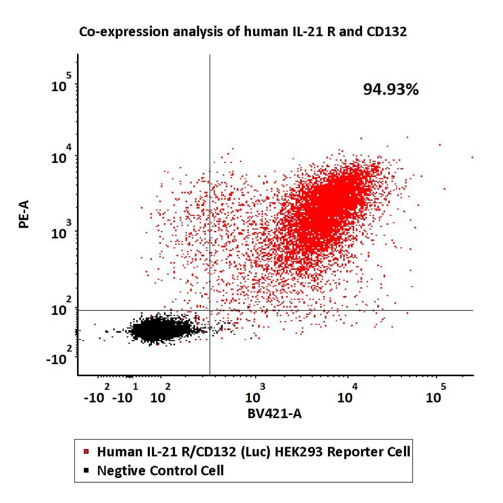 Receptor Assay