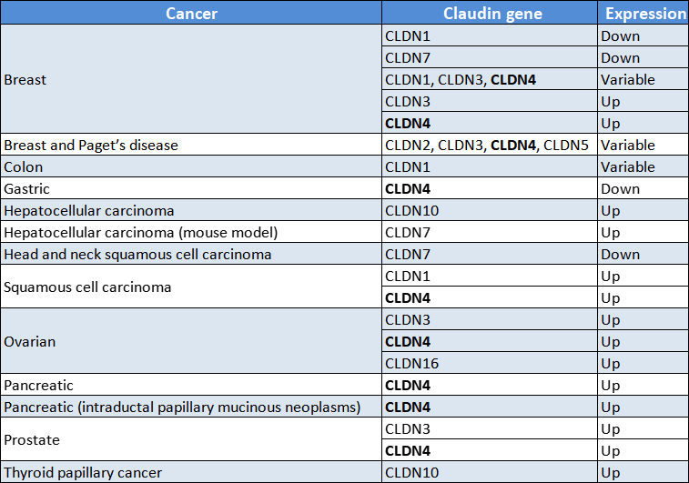 Claudin在癌症中的表达