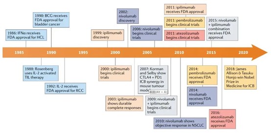 免疫检查点发展历程中的里程碑