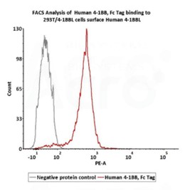 高生物活性经FACS验证