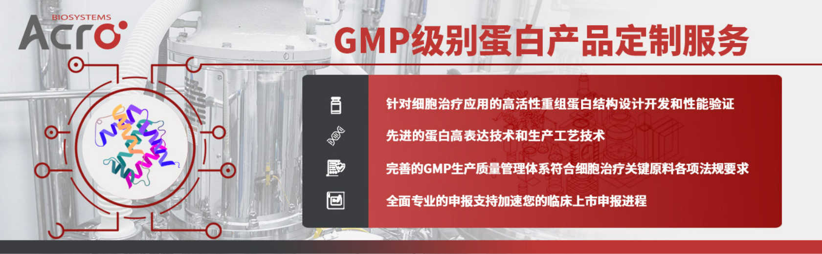 GMP级别蛋白产品定制服务