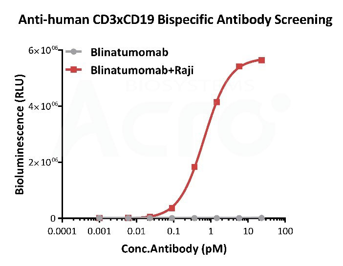 CD3 x CD19双抗功能活性检测