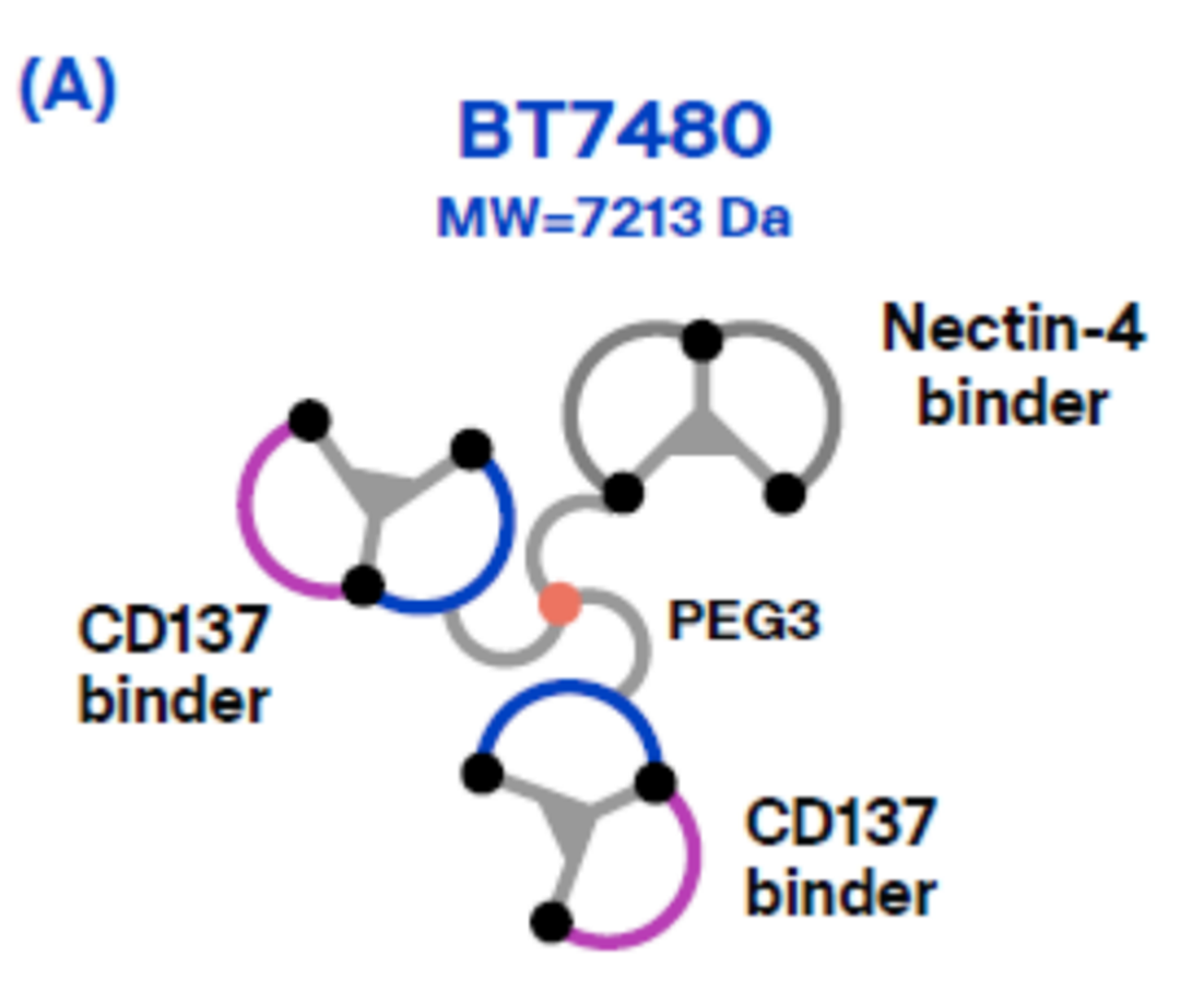 BT7480结构