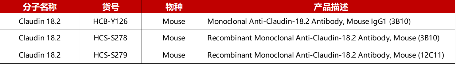 Claudin 18.2免疫组化抗体