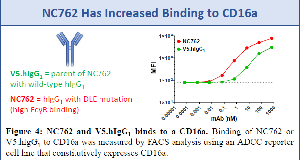 NC762体内试验表现出剂量依赖的抗肿瘤活性