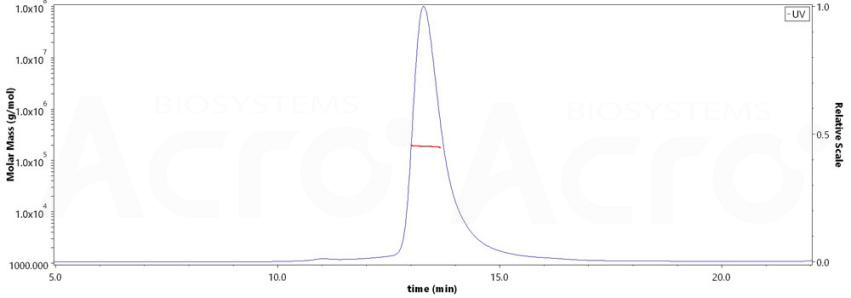 经SEC-MALS验证Pre-F三聚体蛋白纯度>90%