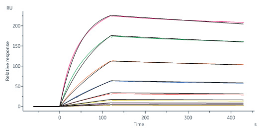 SPR assay