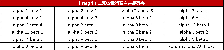 Integrin重组蛋白