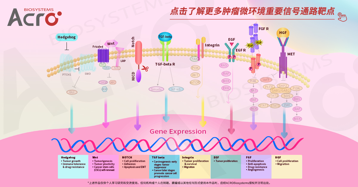 更多TME通路靶点