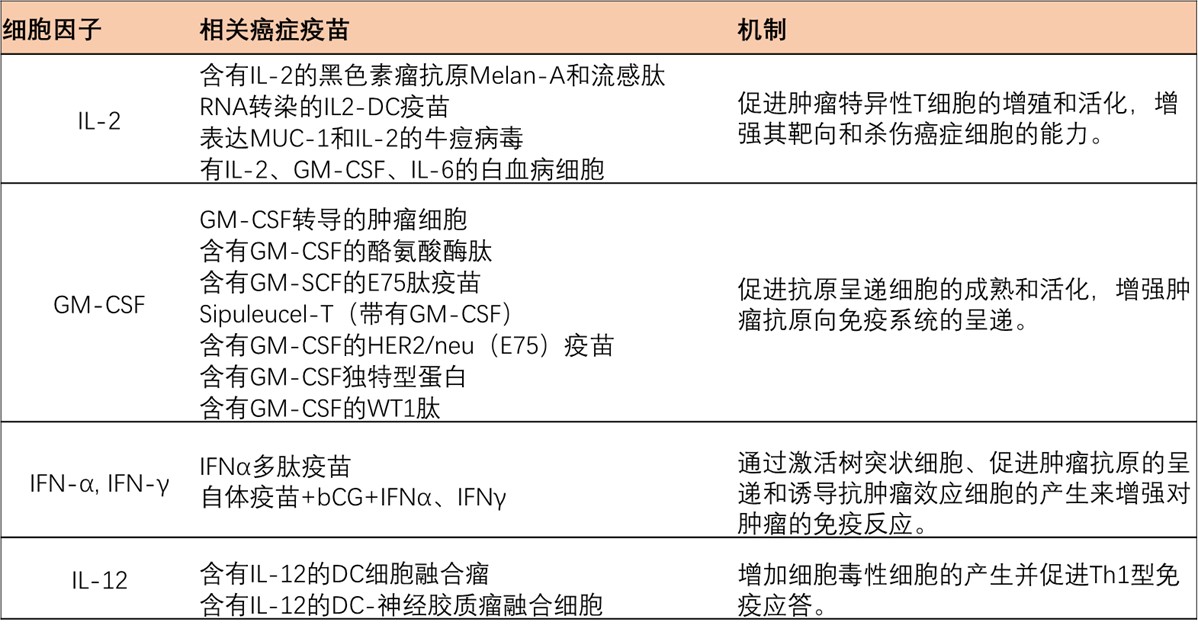 细胞因子佐剂相关疫苗