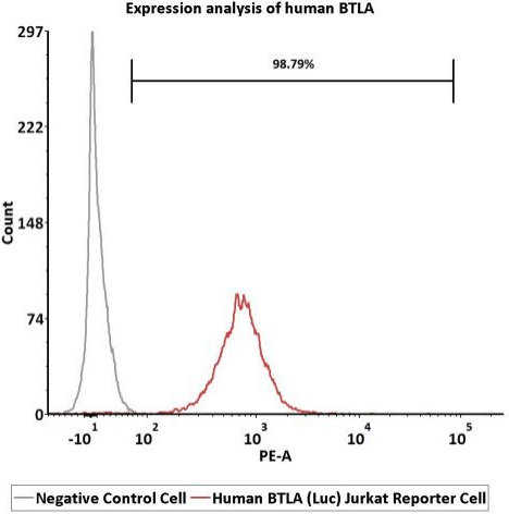 BTLA功能细胞株表达验证-FACS