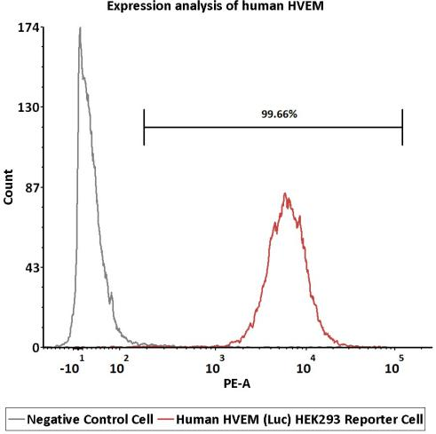 HVEM功能细胞株表达验证-FACS