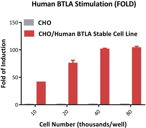 HVEM激活信号验证-Human BTLA Stimulation