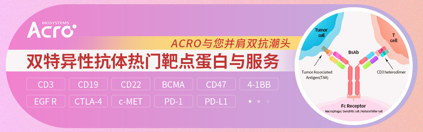 双特异性抗体热门靶点蛋白与服务