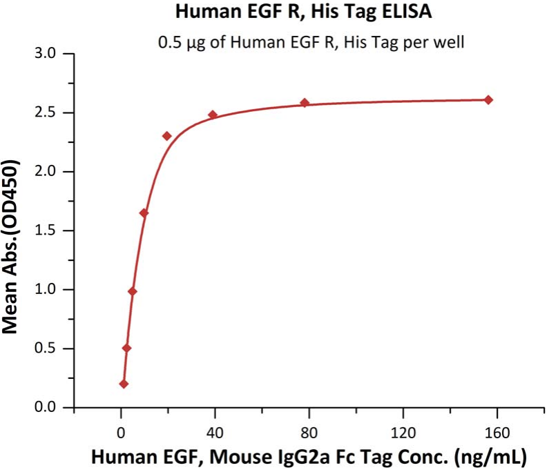 EGFR高生物活性：经ELISA验证