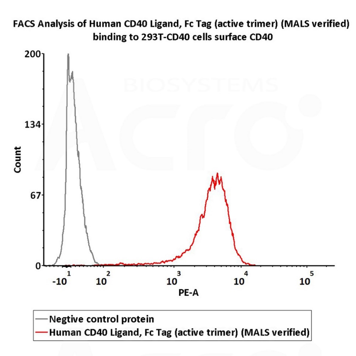 CD40 Ligand