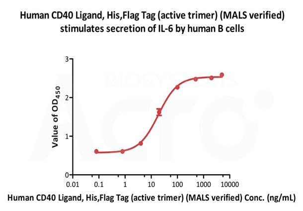 CD40 Ligand