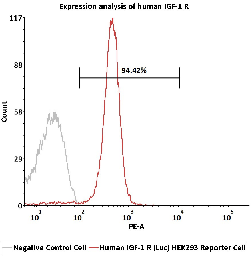 IGF-1R功能细胞株表达验证