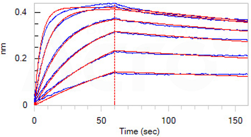 PCSK9生物活性BLI验证