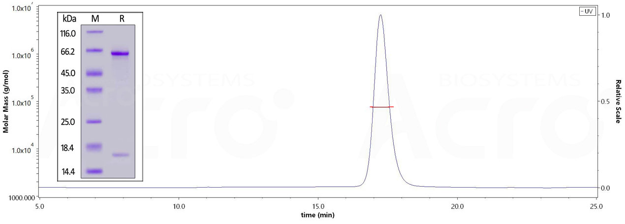 PCSK9高纯度验证