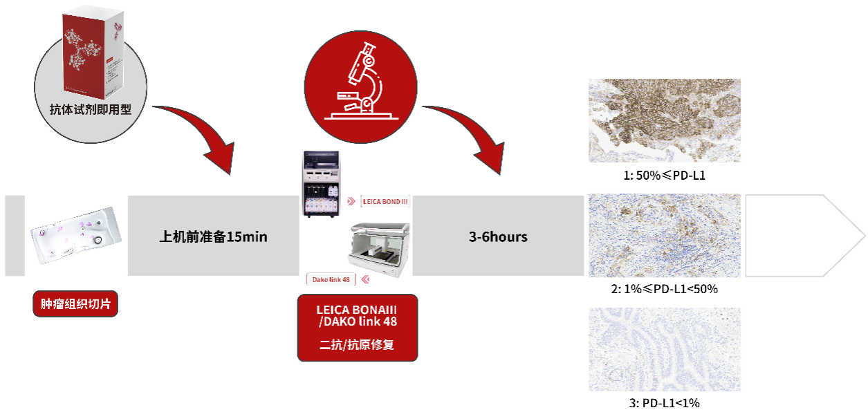 免疫组化试剂盒使用流程