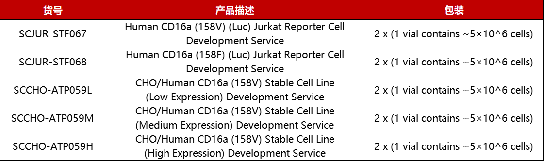 CD16细胞株