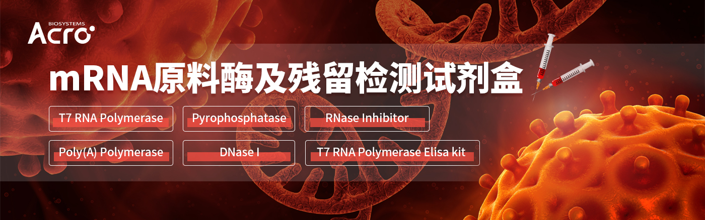 T7 RNA聚合酶等多款新品上线