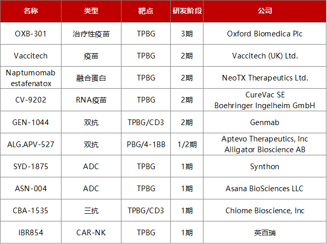 TPBG临床开发中的药物