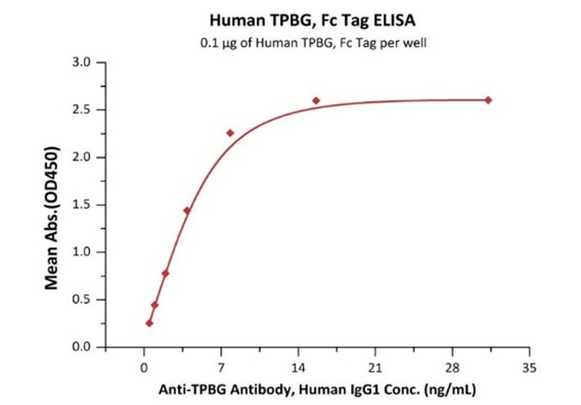 高生物活性经ELISA验证