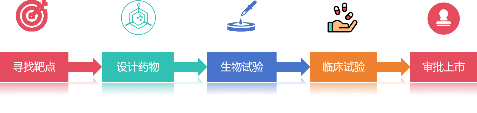 抗体药物的研发流程