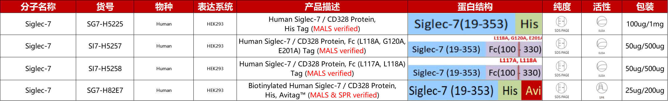 Siglec-7重组蛋白