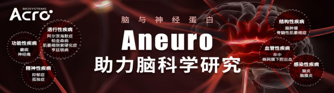 Aneuro助力脑神经科学研究