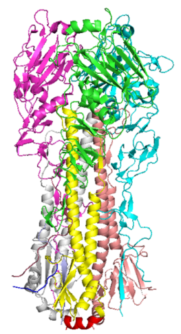 Hemagglutinin (HA) Trimer