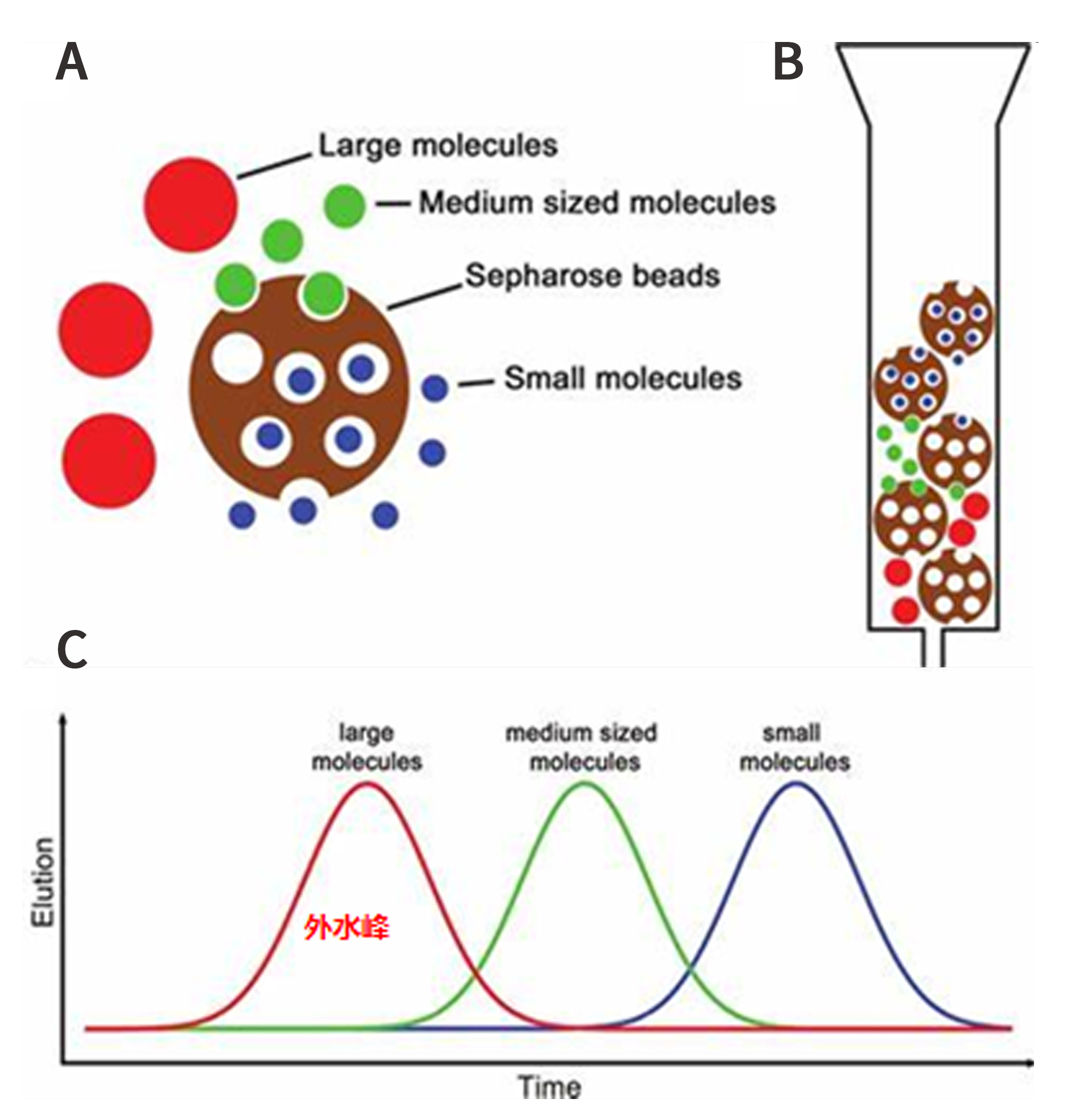 HPLC-SEC的分离原理