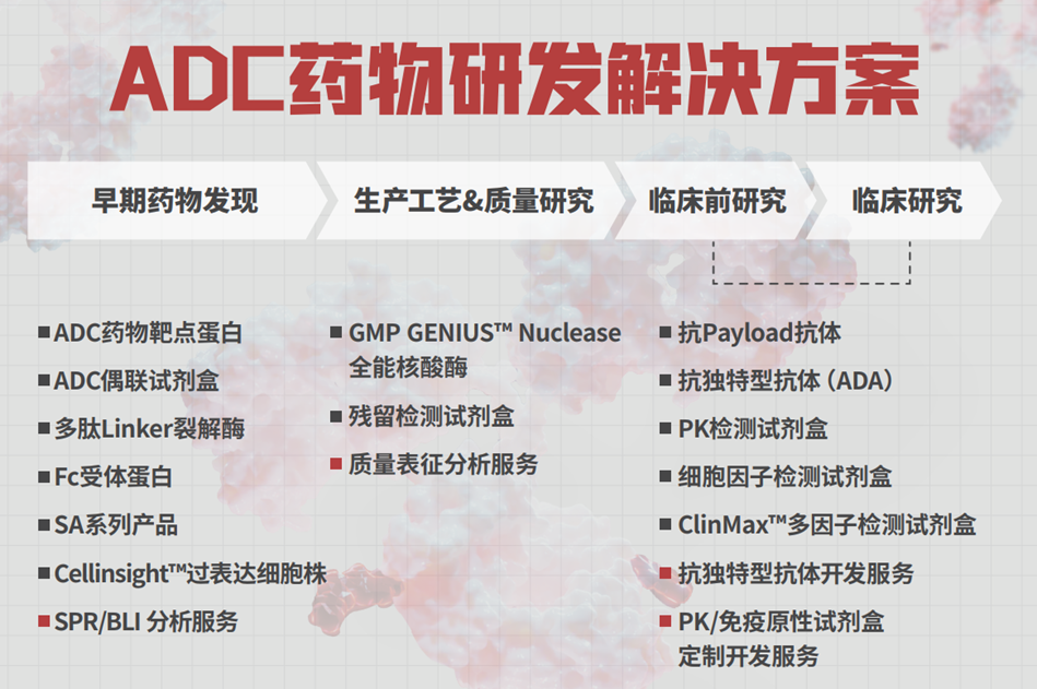 ADC药物研发解决方案